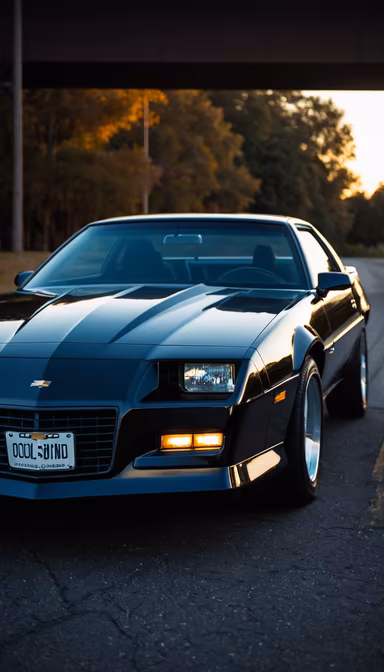 American Muscle American Muscle
