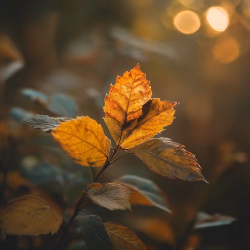 Autumn's Embrace