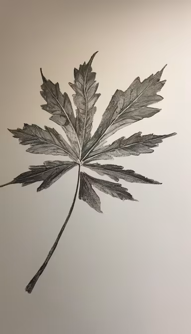 Leaf Study Leaf Study