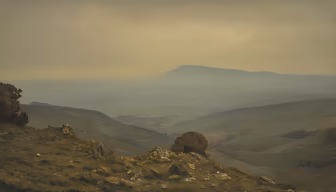 Mountain Vista