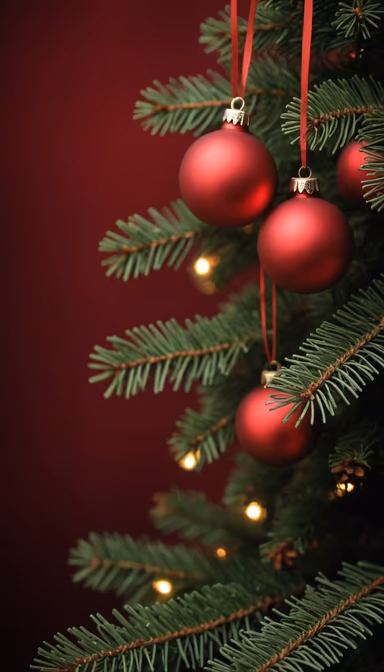 Holiday Cheer Holiday Cheer