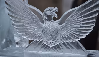 Ice Eagle