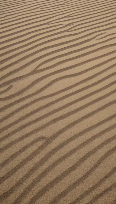 Desert Geometry Desert Geometry