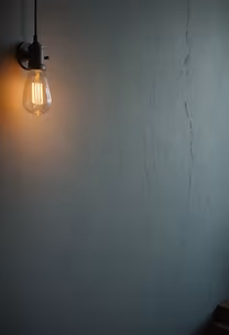 Edison Bulb Edison Bulb
