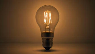 Edison Bulb