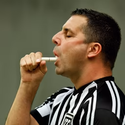 The Referee The Referee