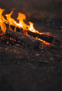 Campfire Stories