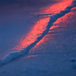 Winter's Kiss Winter's Kiss