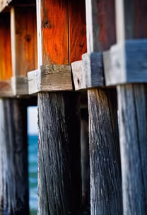 Under the Pier