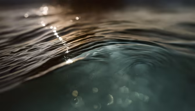 Ocean's Whisper