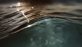 Ocean's Whisper