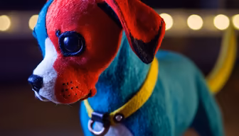 Colorful Companion Colorful Companion