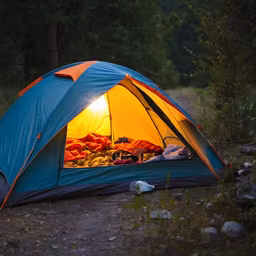 Camping Under the Stars