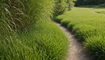Pathway to Serenity Pathway to Serenity