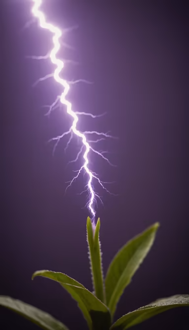 Charged Growth