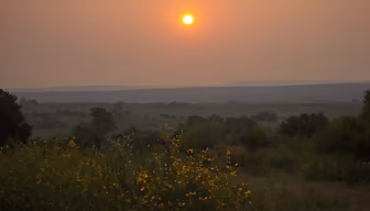 Golden Hour Serenity Golden Hour Serenity