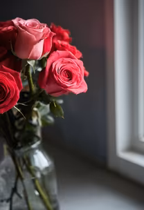 Roses by the Window Roses by the Window