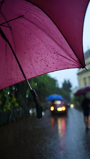Rainy Day Escapade Rainy Day Escapade