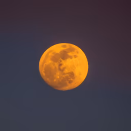 Harvest Moon