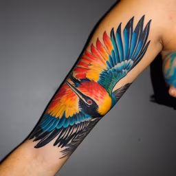 Colorful Flight