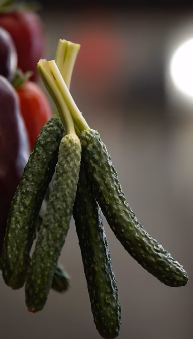 Fresh Harvest