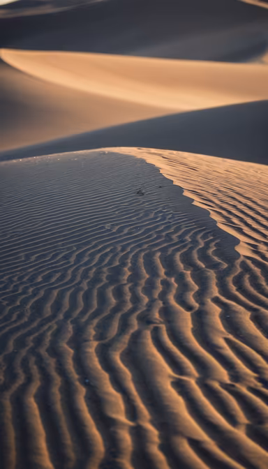 Desert Dreams Desert Dreams