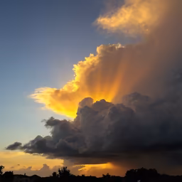 Golden Hour Majesty Golden Hour Majesty