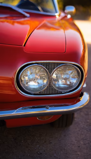 Classic Beauty Classic Beauty