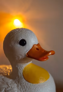 Rubber Duckie Rubber Duckie
