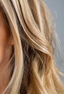 Blonde Highlights Blonde Highlights