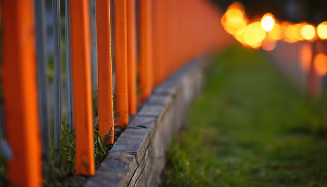 Evening Stroll