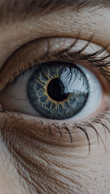 The Window to the Soul The Window to the Soul