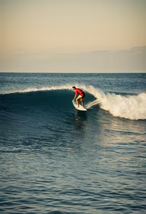 Riding the Wave Riding the Wave