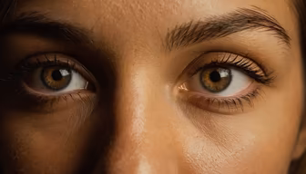 The Windows to the Soul The Windows to the Soul