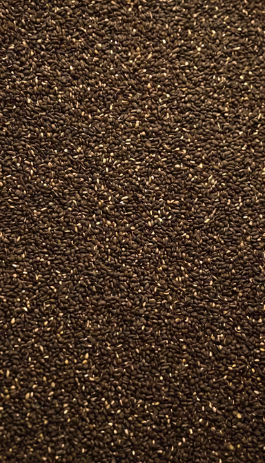 Chia Seed Abundance Chia Seed Abundance