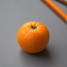 Fresh Citrus Fresh Citrus