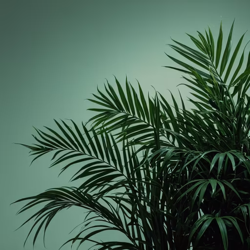 Tropical Vibes