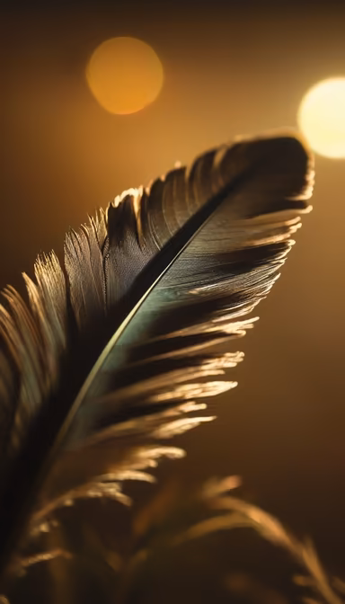 Golden Feather Golden Feather