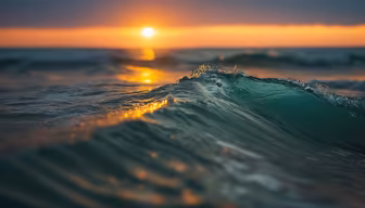 Ocean's Embrace