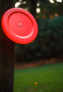 Frisbee Break Frisbee Break