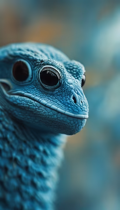 Blue Lizard Blue Lizard