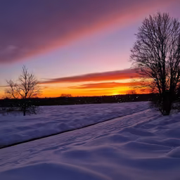 Winter's Embrace Winter's Embrace