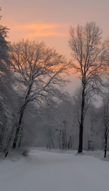 Winter's Embrace