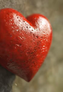 Heart of Wood Heart of Wood