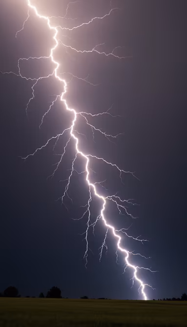 Nature's Fury Nature's Fury