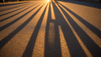 Golden Shadows