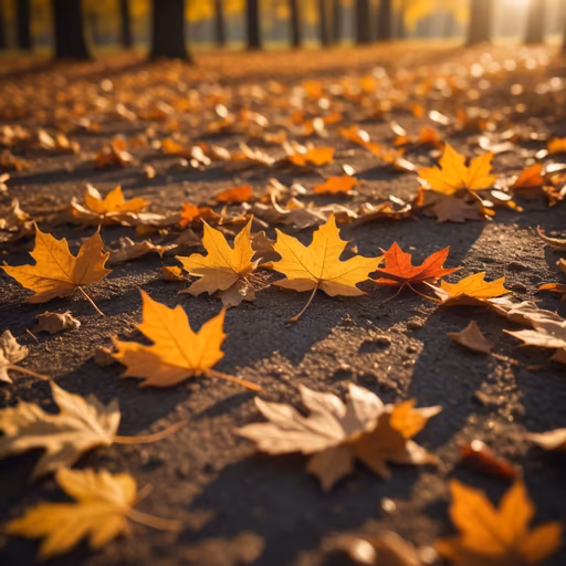 Autumnal Serenity