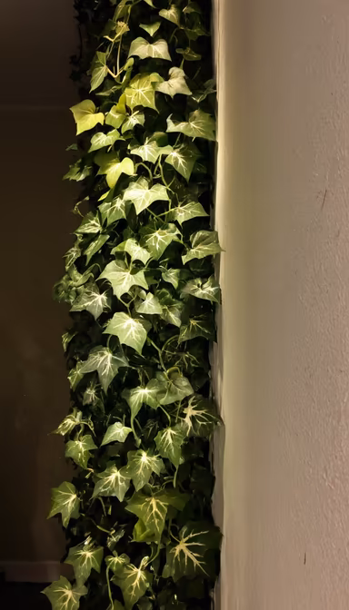 Vertical Garden Vertical Garden
