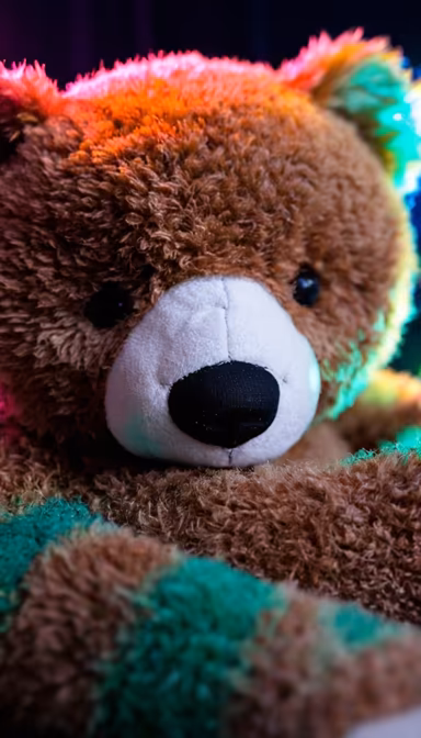 Teddy Bear Stare