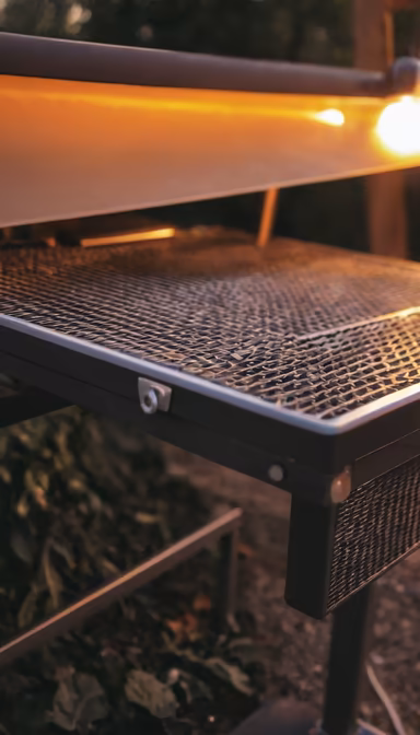 Ready for Grilling